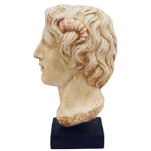 Load image into Gallery viewer, Alexander the Great Macedonian Large bust - King Of Vergina
