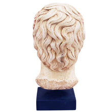 Load image into Gallery viewer, Alexander the Great Macedonian Large bust - King Of Vergina
