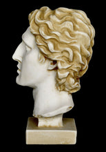 Load image into Gallery viewer, Alexander the Great Macedonian - Alabaster aged bust - King Of Vergina Phillip Son
