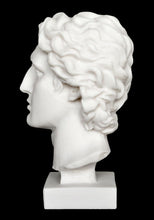 Load image into Gallery viewer, Alexander the Great Macedonian Alabaster bust - King Of Vergina - Phillip Son
